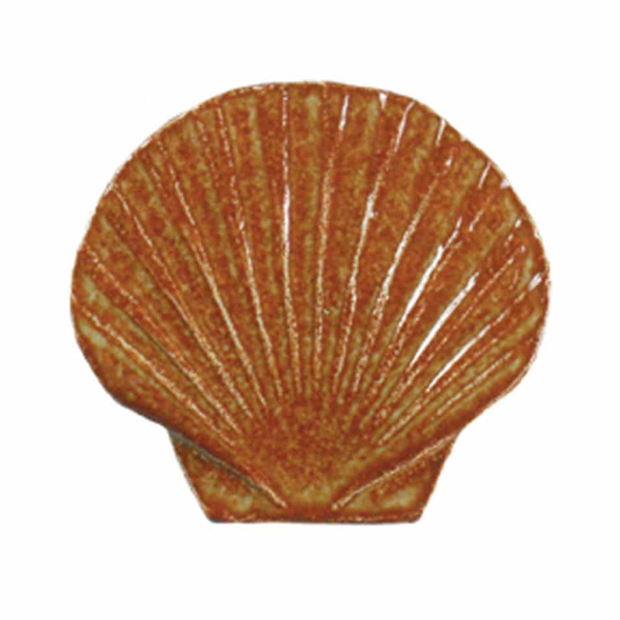 2011-seashell-baby-brown