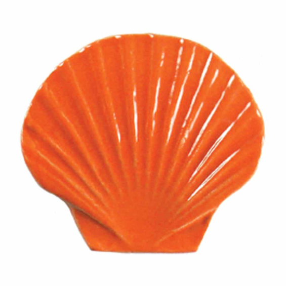 2011-seashell-baby-orange
