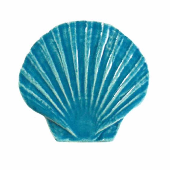 2011-seashell-baby-turquoise