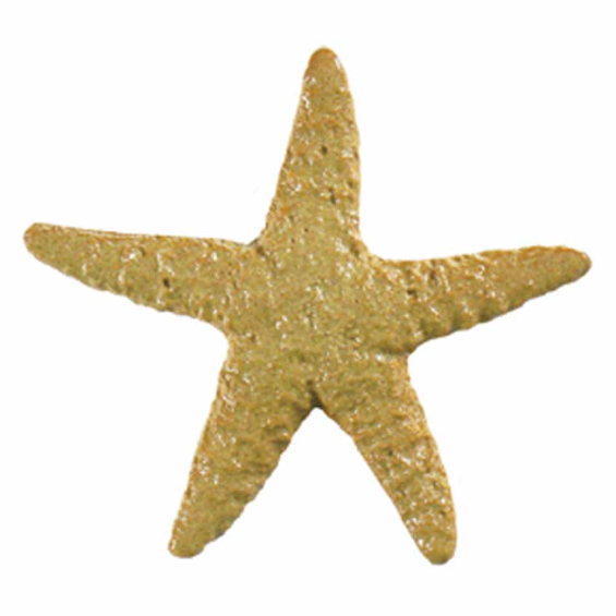 2011-starfish-baby-gold