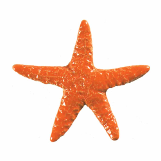 2011-starfish-baby-orange