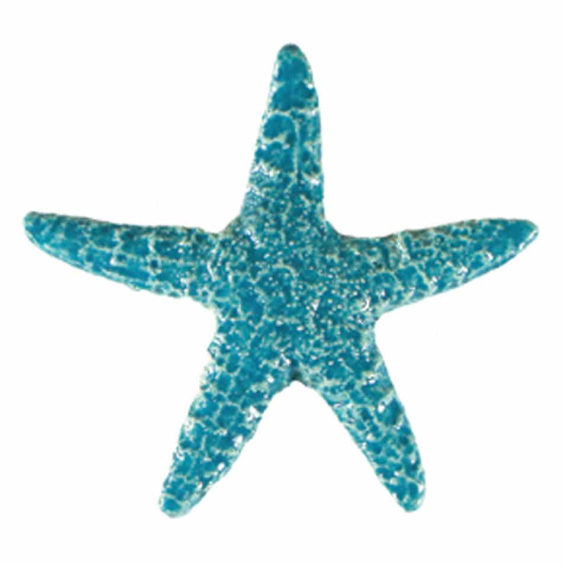 2011-starfish-baby-turquoise