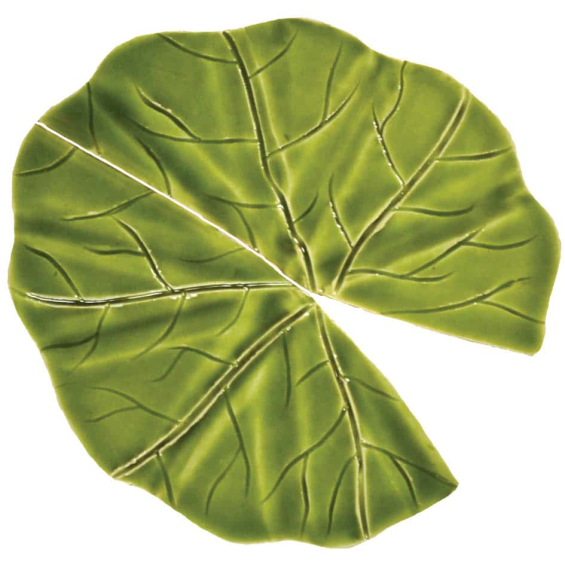 2012-Lily-pad