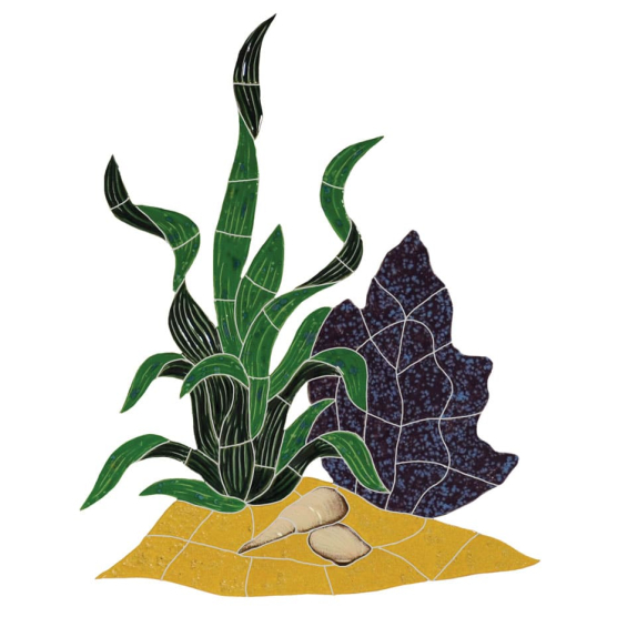 2016-Reef-Accent-Seagrass