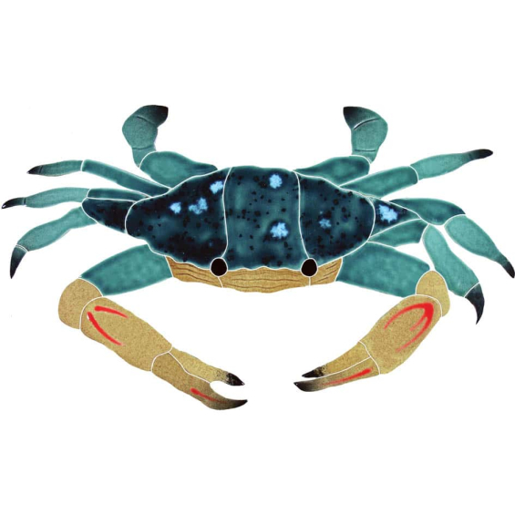 Crab-Blue-swimmer-CBSMCOOS