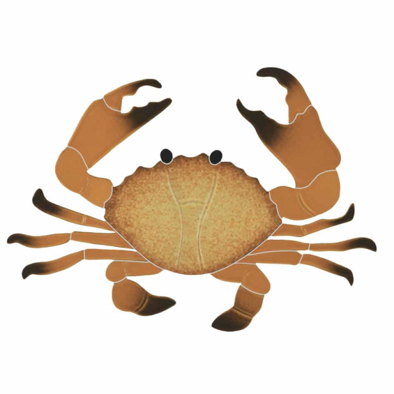 Crab-baby-brown-CRABROB