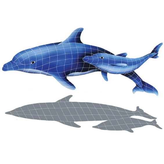 Dolphin-Pair-with-shadow112513