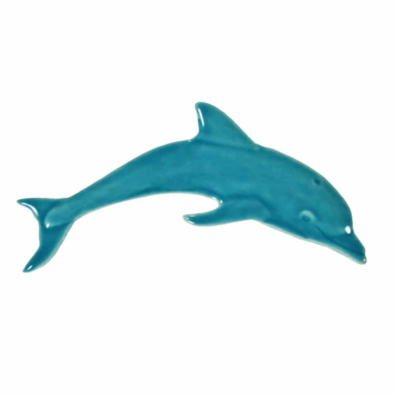 Dolphin-mini-aqua
