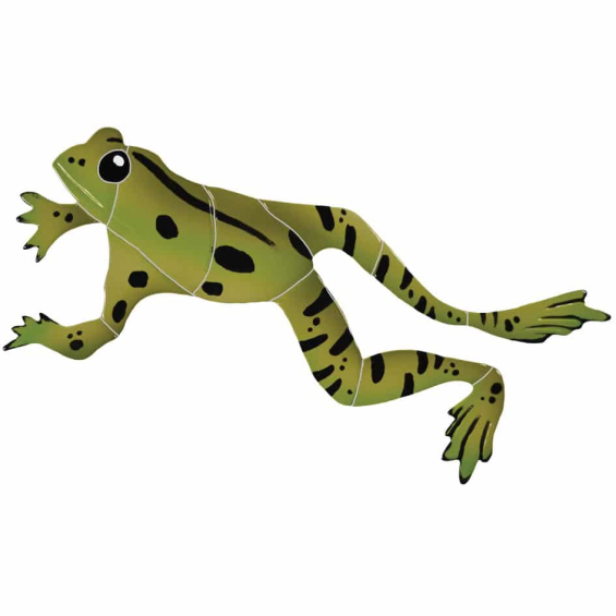 Leaping-Frog (1)