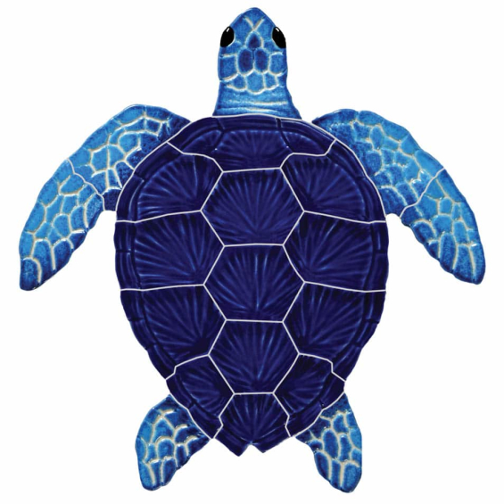Loggerhead-Turtle-Blue-TLOBLUS