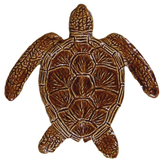Loggerhead-Turtle-baby-brown