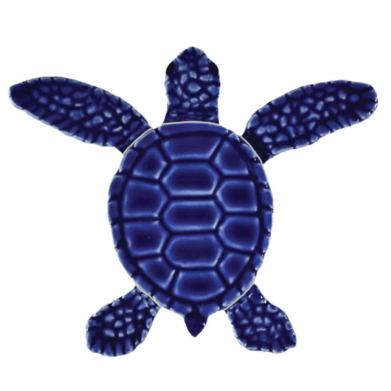 Loggerhead-baby-blue-center