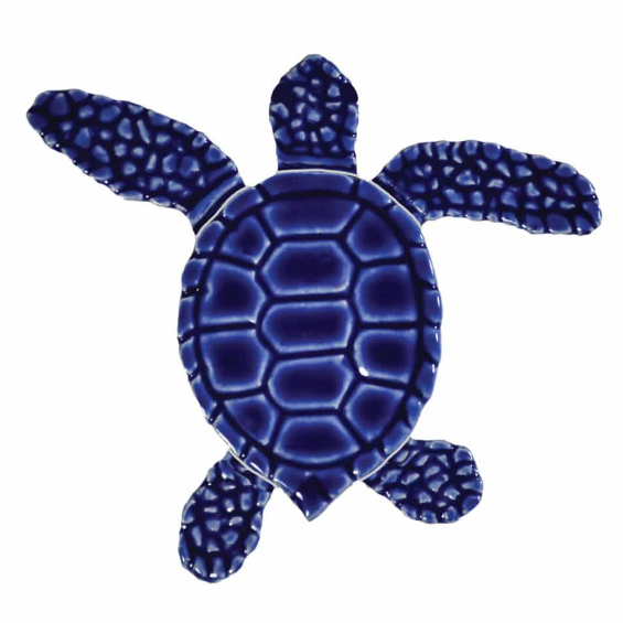 Loggerhead-baby-blue-left