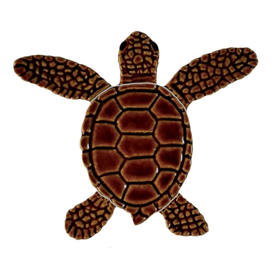 Loggerhead-baby-brown-center