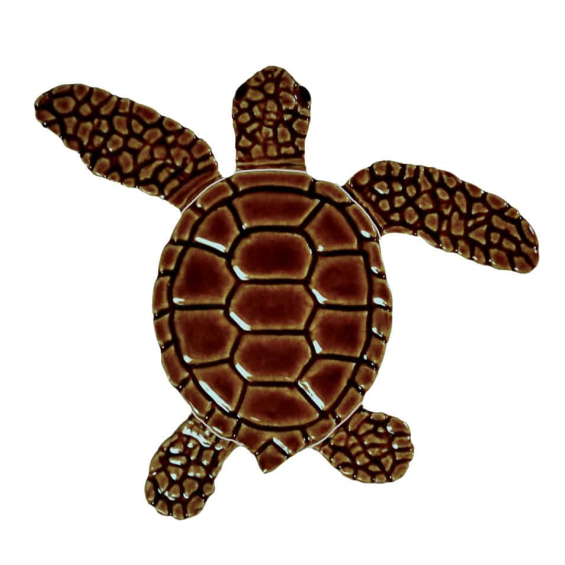 Loggerhead-baby-brown-left