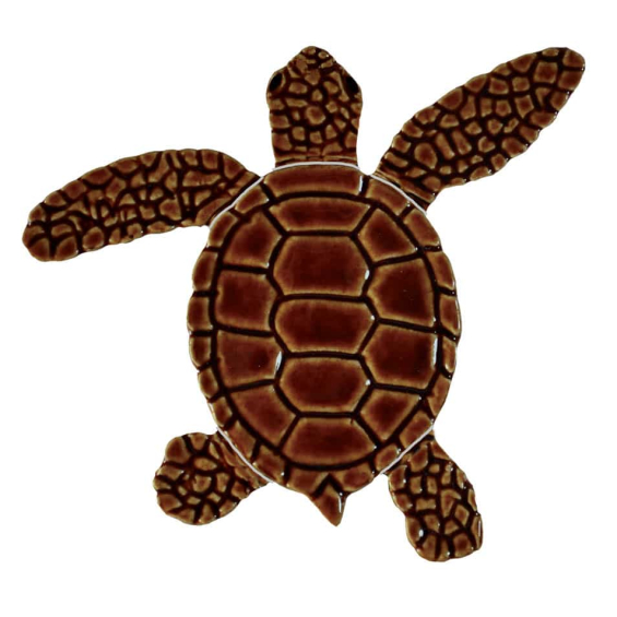 Loggerhead-baby-brown-right