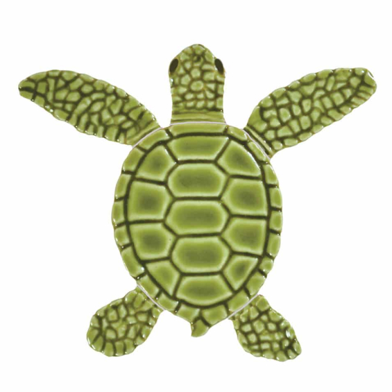 Loggerhead-baby-green-center