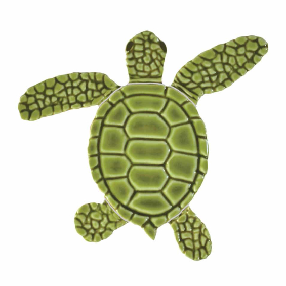 Loggerhead-baby-green-right