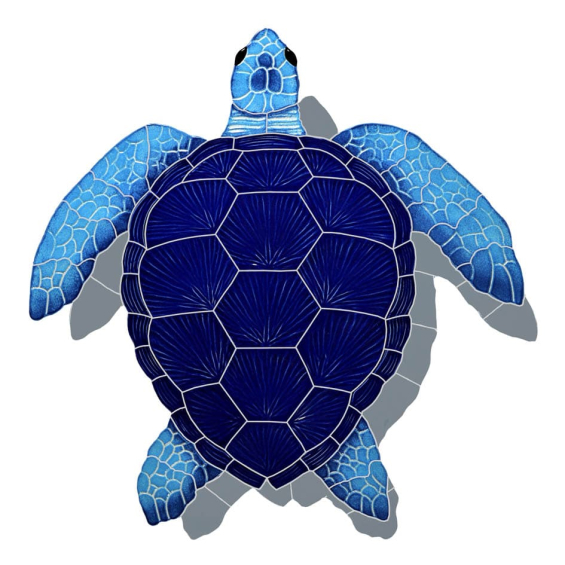 Loggerhead-blue-lg-shadow