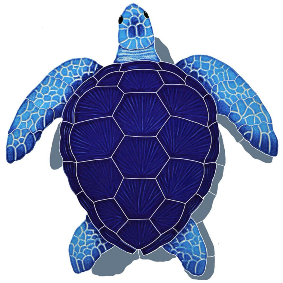 Loggerhead-blue-medium-shadow