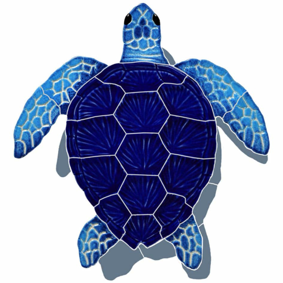 Loggerhead-blue-small-shadow