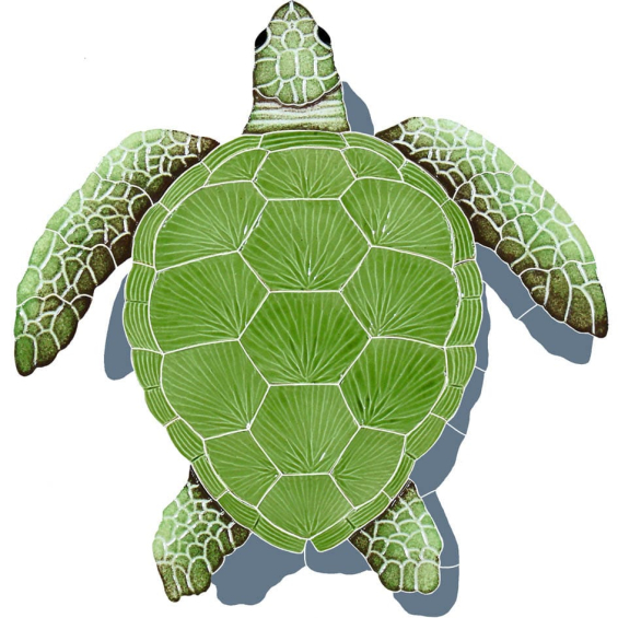 Loggerhead-green-medium-shadow