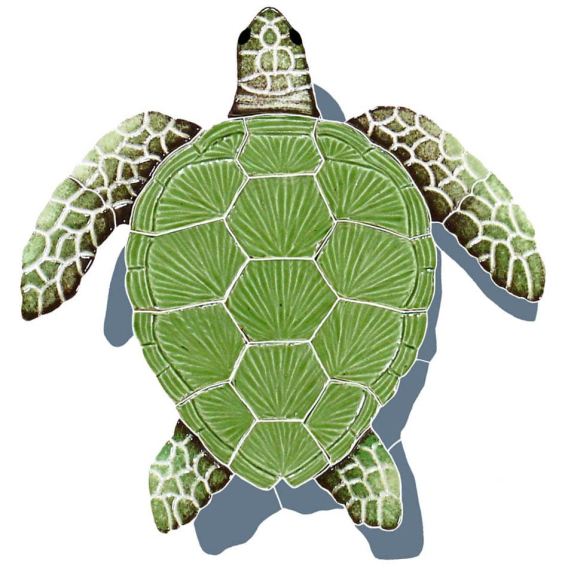 Loggerhead-green-small-shadow