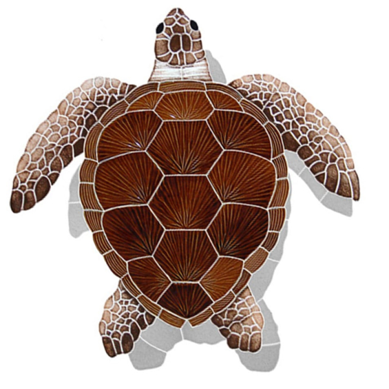 Loggerhead-large-brown-with-shadow