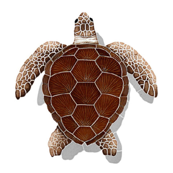 Loggerhead-medium-brown-with-shadow