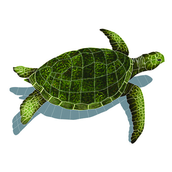 Sea-Turtle-Green-large-shadow