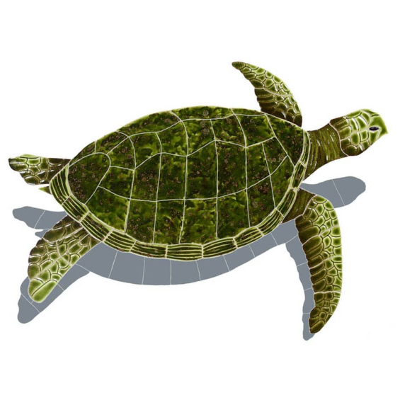 Sea-Turtle-Green-medium-shadow