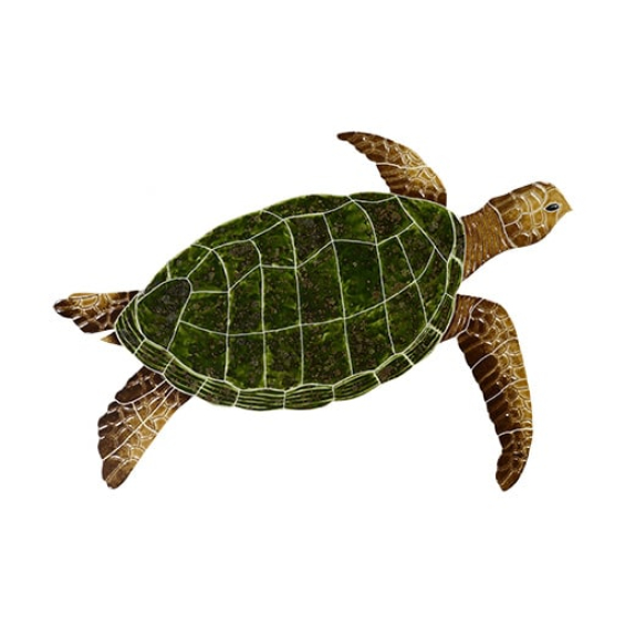 Sea-Turtle-Natural-medium