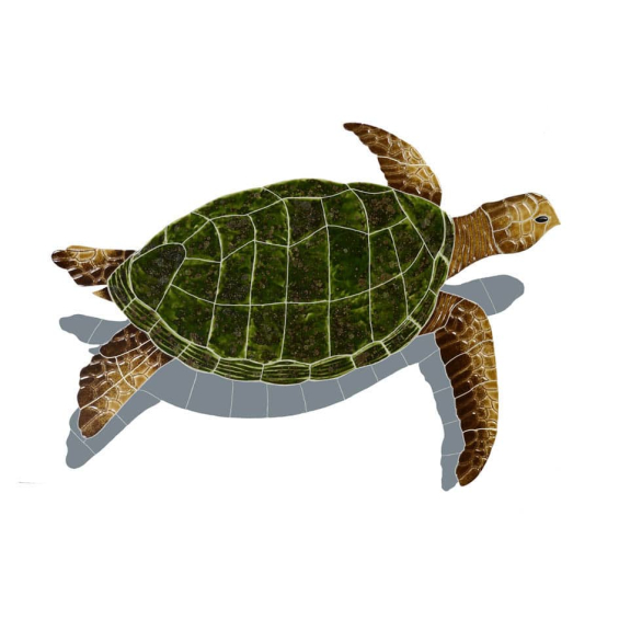 Sea-Turtle-Natural-medium-shadow