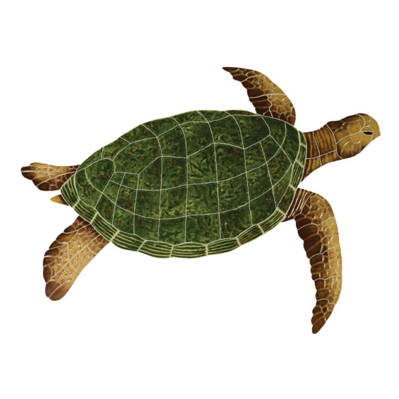 Sea-Turtle-brown-lg-2015