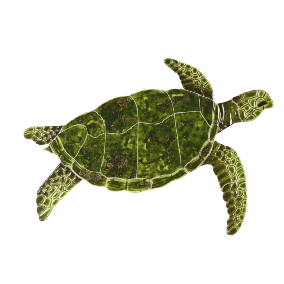 Sea-Turtle-green-small-2015