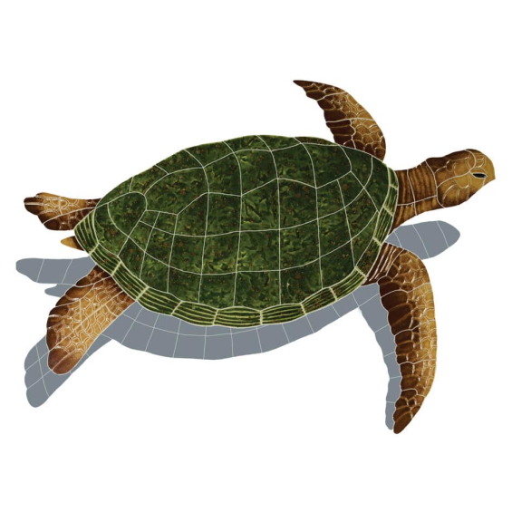 Sea-Turtle-lg-natural-shadow-2015