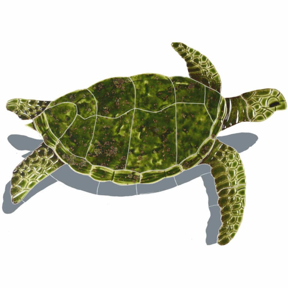 Sea-Turtle-small-green-with-shadow-2015
