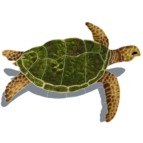 Sea-Turtle-small-natural-with-shadow-2015
