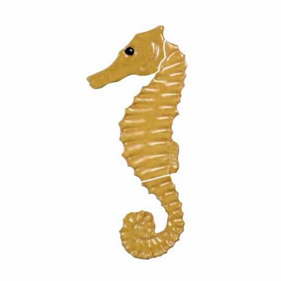 Seahorse-tan