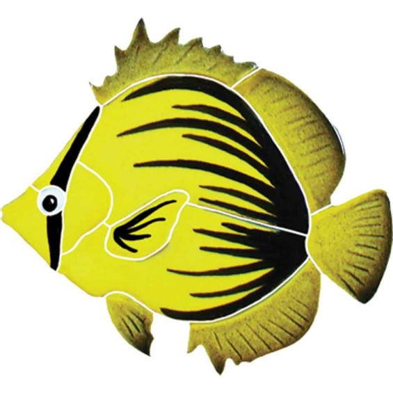 Spiked-Butterfly-fish