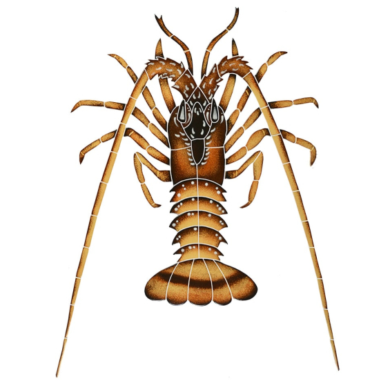 Spiny-Lobster-1