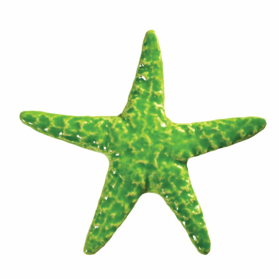 Starfish-lime