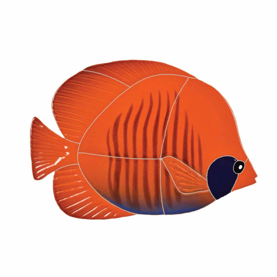 Tiger-Tang-orange