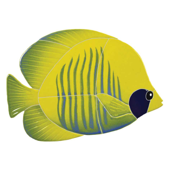 Tiger-Tang-yellow