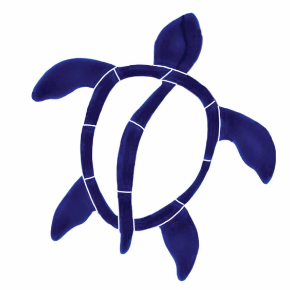 Turtle-6in-blue