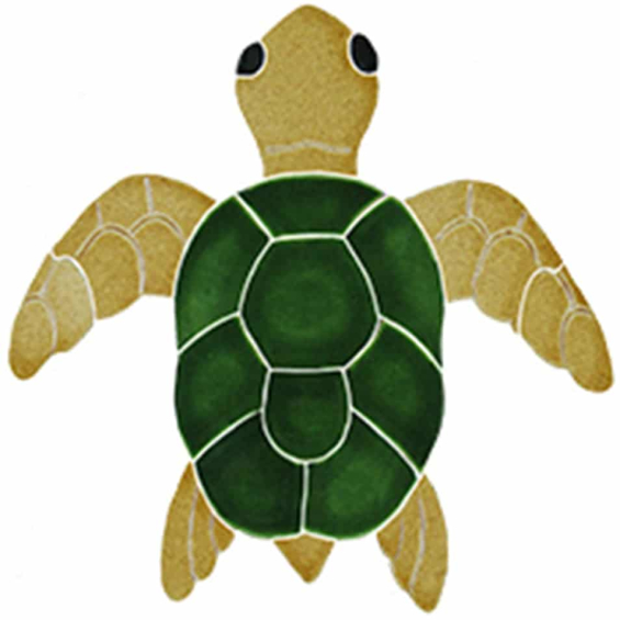 Turtle-topview-natural-baby