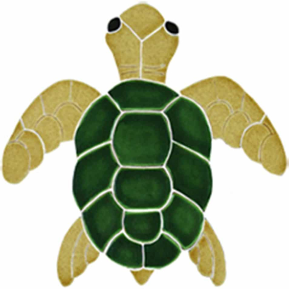 Turtle-topview-natural-small