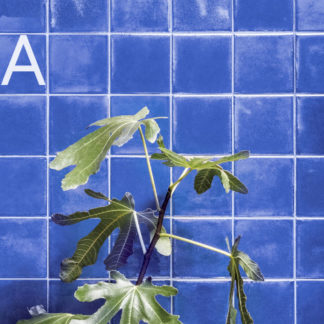 Marca Corona Maiolica