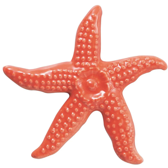Water-World-Star-Fish-Orange