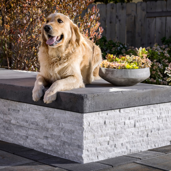 le2hagrpS_Stone_Essentials_Ledgers_Hazy_Grey_Split_Face_Exterior_Wall_With_Dog_Island_Stone-1.jpg